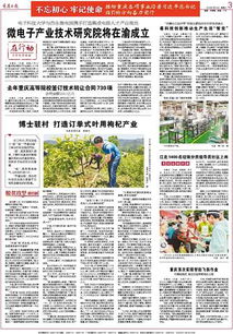 重慶高等院校技術轉讓成果豐碩，去年簽訂合同730項推動創新發展